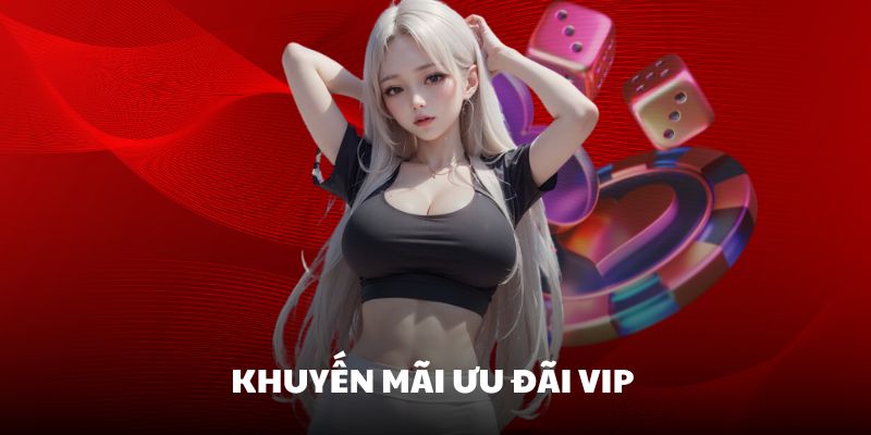 Ưu đãi VIP cho khách hàng tại MKSPORTS